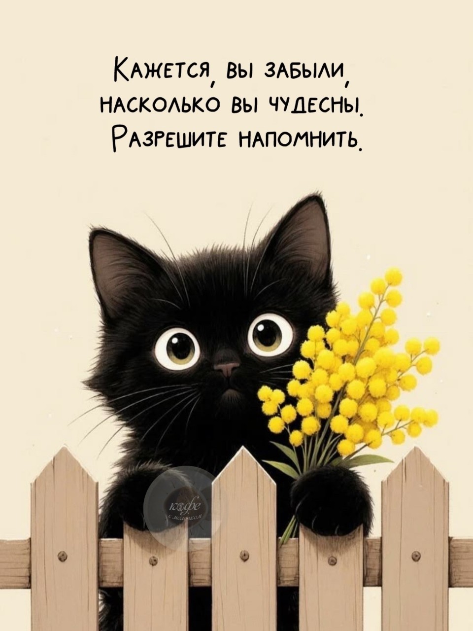  в LOOKY — публикация