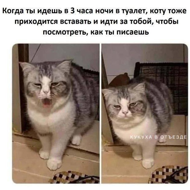 Looky_1698439775933 в LOOKY — 😄😄😄😄😄