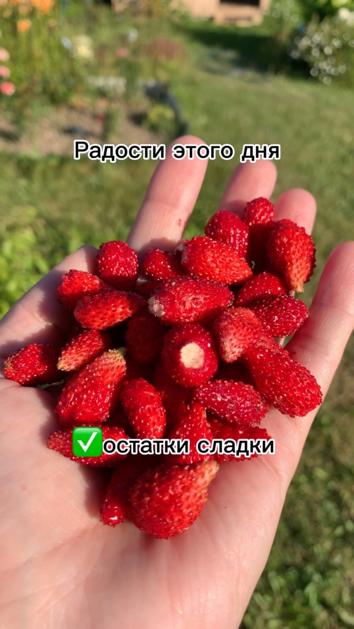 dorogu_prologu в LOOKY. . Маленькие радости [#...