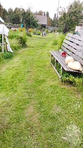 Ирина Чопорова в LOOKY — Вот так бывает😀