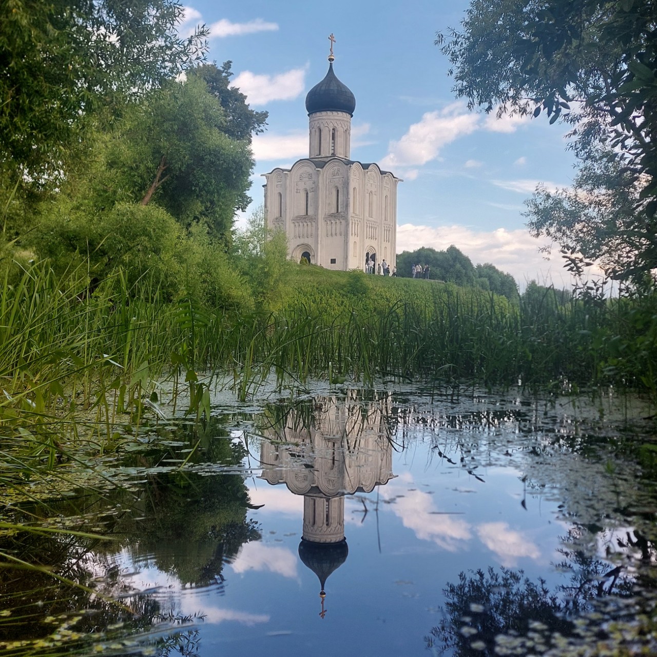 Галина Венн в LOOKY — фото 2
