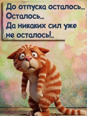 Sunsun в LOOKY. . 