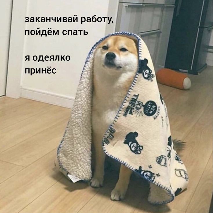 Petroviz в LOOKY — публикация