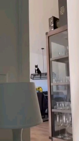vetklinika.brb в LOOKY. . Вы на работе. Тем вр...