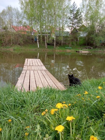 Looky_176221032508796 в LOOKY. . Морской волк