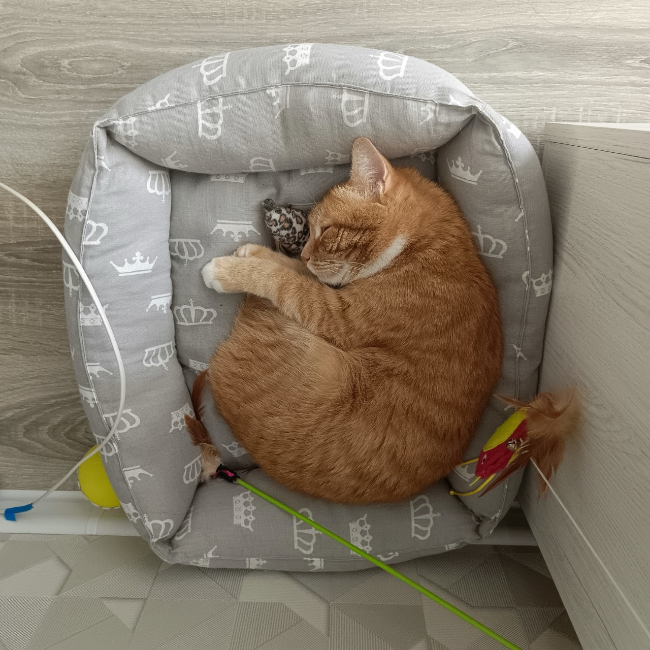 Мамин зайка 😍