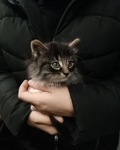Lisa в LOOKY. . Всем привет) Знакомь...