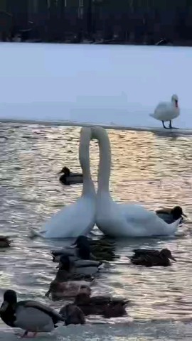 Татьяна Журневич в LOOKY. . Добрый день! Это как...