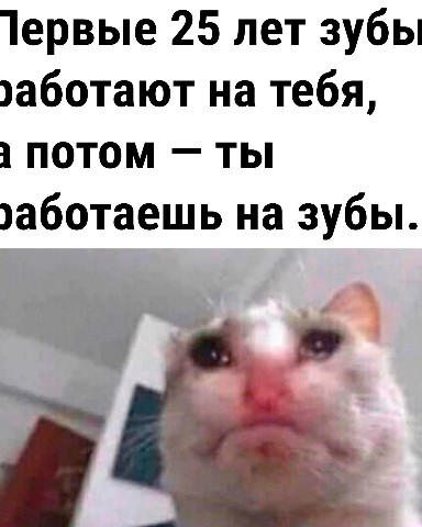 Looky_1672643960600 в LOOKY. #приколы,#ржака,#юмор,#18,#трэнды,#2024,#лучшее,#прикольныевидео,#приколыдлявзрослых,#пранки,#топ,#эпицентрюмора,#факты,#gif,#фильмы,#приколыизфильмов,#тнт,#эпицент,#краш,#мемы,#топвидео. 🔥 Подписывайтесь!! ...