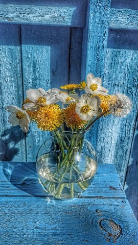 anatolij.v.b в LOOKY. . 