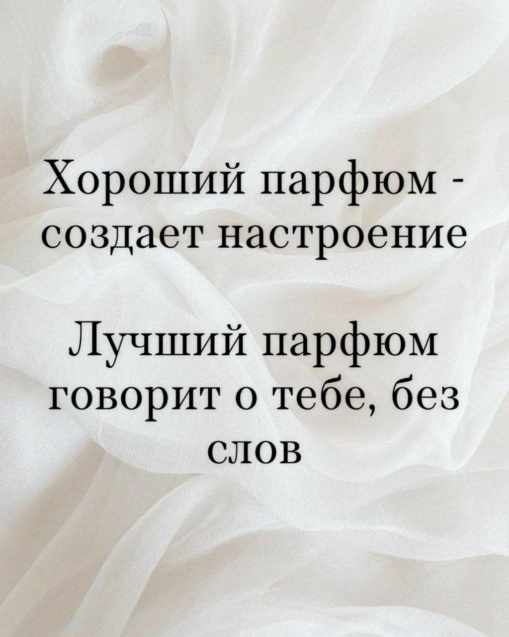 Светлана  Svetlana в LOOKY — фото 4