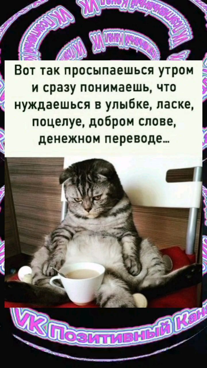 Looky_1722596293300 в LOOKY. #анекдот,#юмор,#прикол,#смех,#позитив,#ржака,#мем,#шортс,#шутки. И утро будет добрым)...