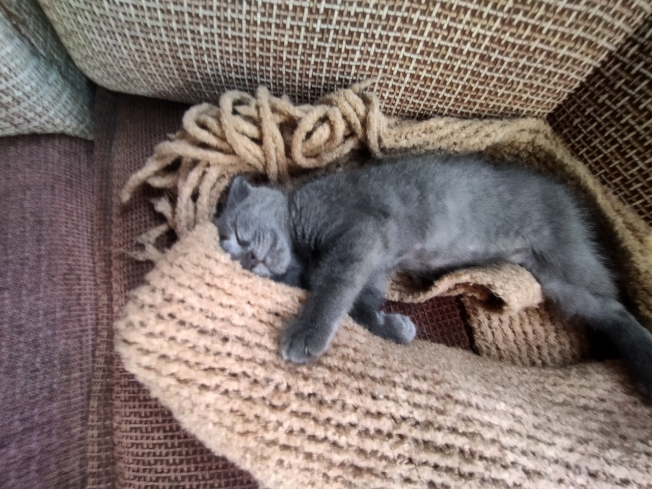 Арина фаткулина в LOOKY — Смотрите какой милашка🥰