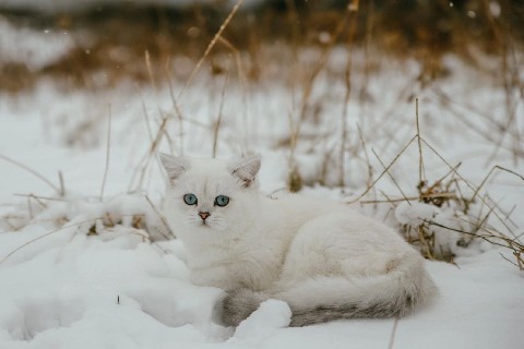 angelika harina в LOOKY. . 