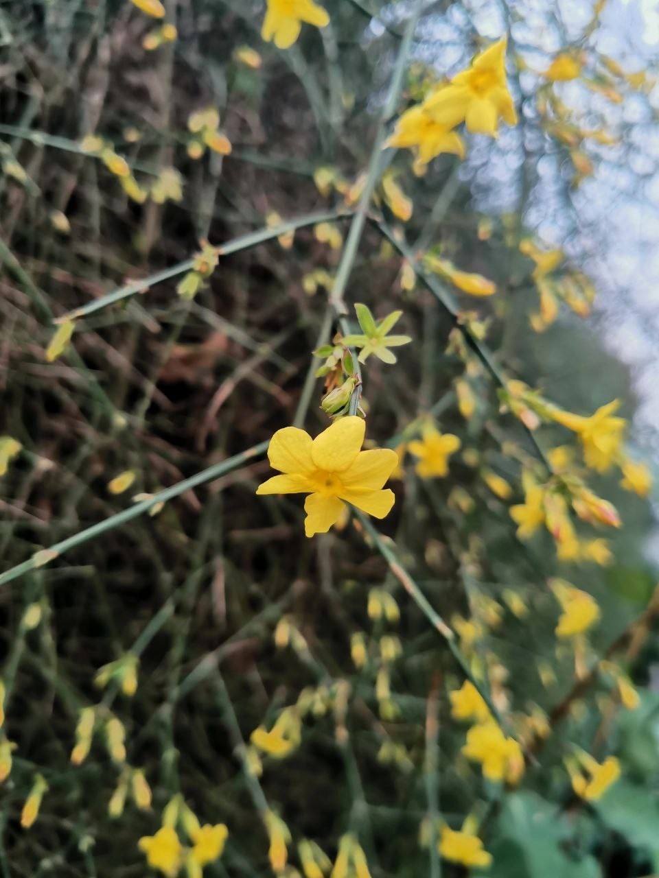crimea_ellada в LOOKY. #элладасемидворье,#море,#отдыхвкрыму. 🌞 Солнышко, ☁️ небу...