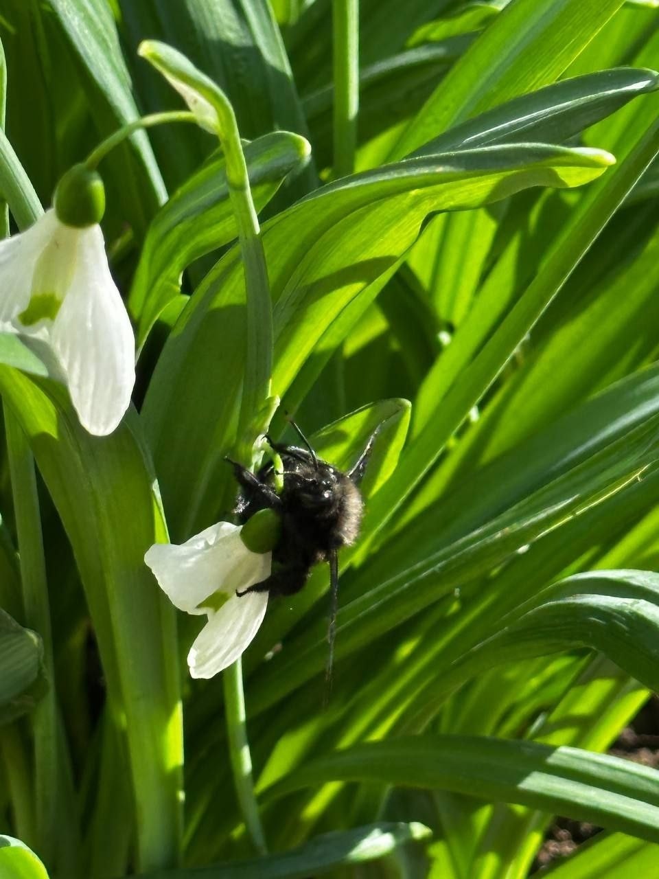 crimea_ellada в LOOKY — фото 3