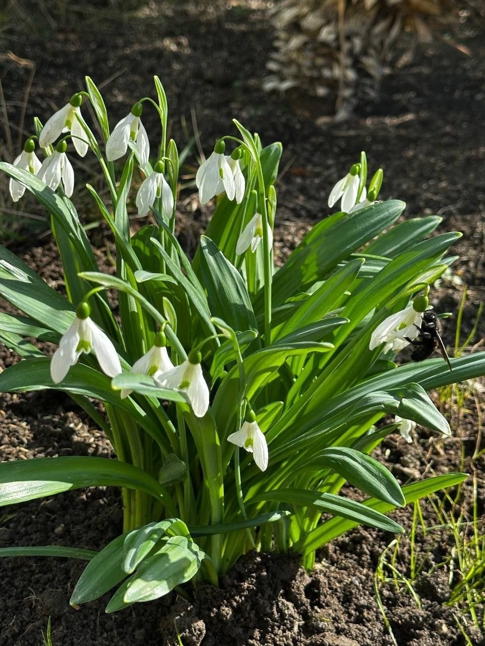 crimea_ellada в LOOKY — фото 5