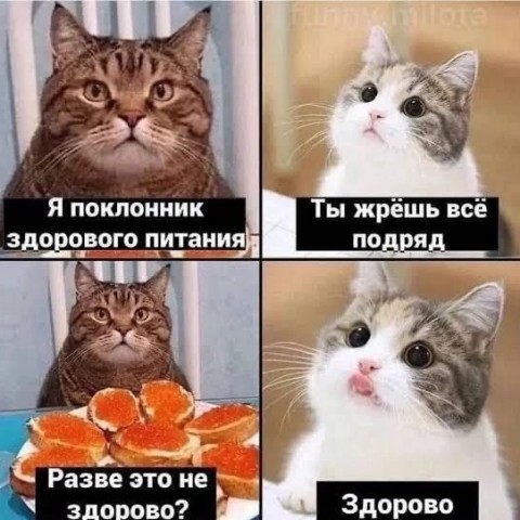 Evgeniy_Smexov в LOOKY. . 
