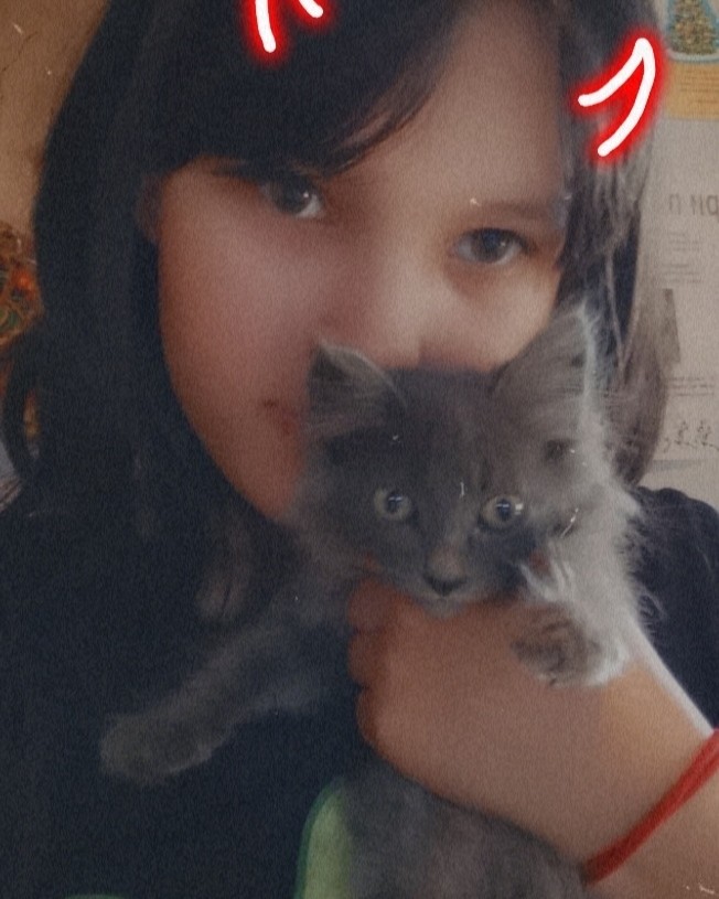 Мой котёнок по имени Дым🥺🖤 [#котенок](котенок) #фото [#love](love) [#looky_топ](looky_топ) 
