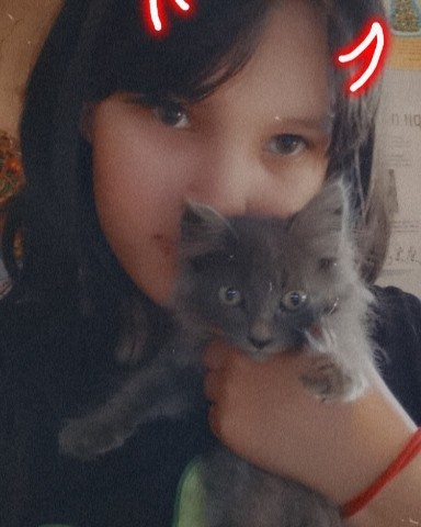 lazareva.stulya032019 в LOOKY. #фото. Мой котёнок по имени...