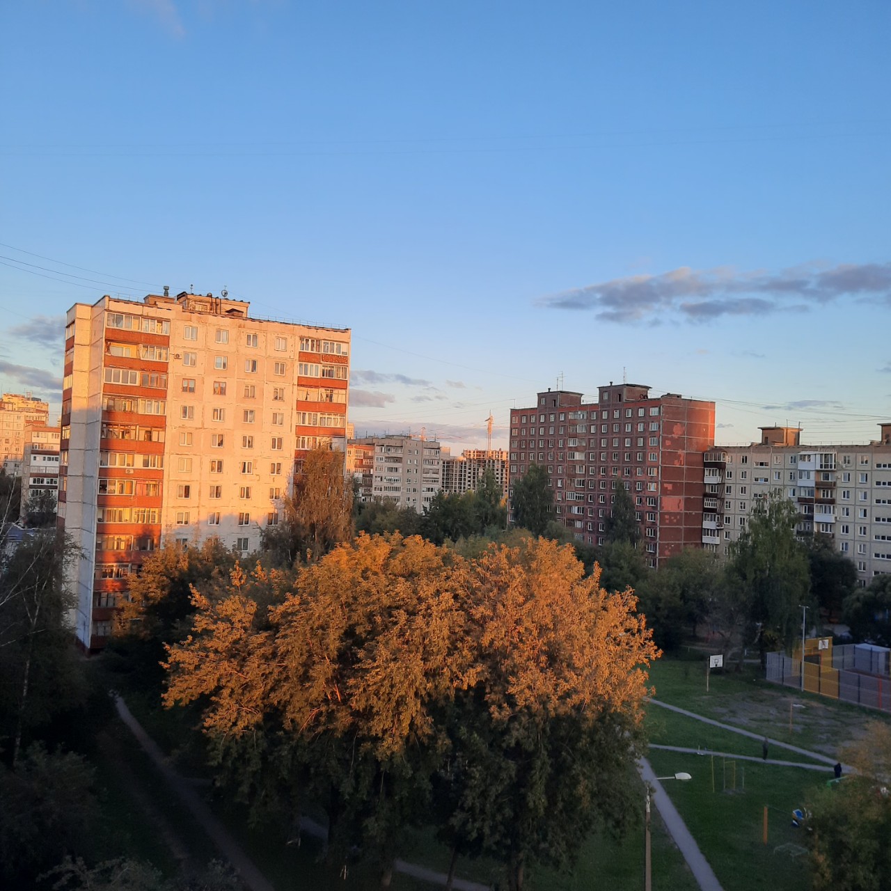  в LOOKY — публикация