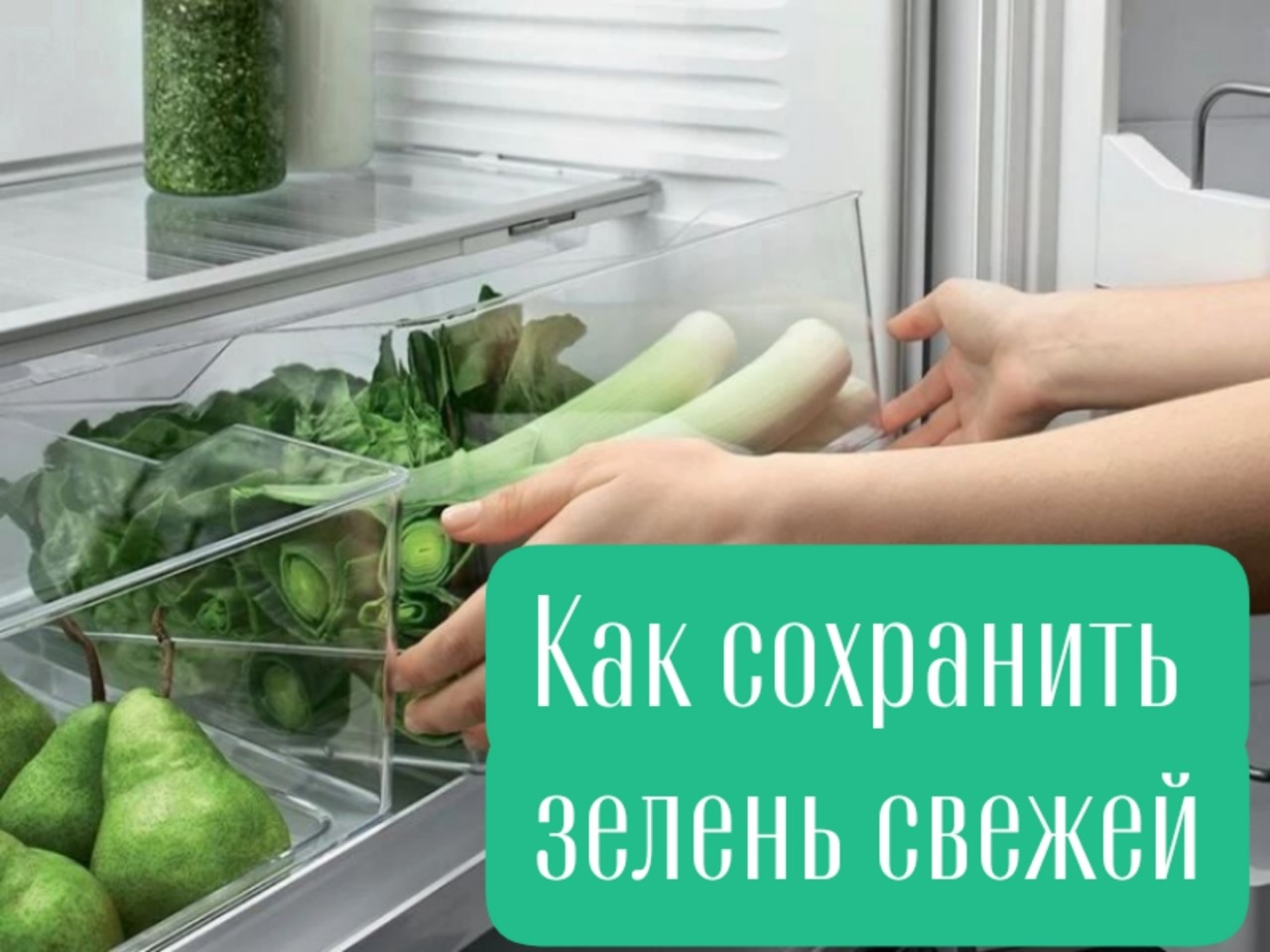 Ох уж эта вечная история: купила или нарвала на участке пучок укропа с мыслью о полезном салате, а через два дня он превращается в печальный, поникший веник. Знакомо?

Как нутрициолог, я просто обязана спасать ваши витамины, а не отправлять их в мусорку. Поэтому ловите мой рабочий совет, который стоит копейки, но продлевает жизнь зелени в разы.

Секрет  в бумажном полотенце!
Всё гениальное просто. Влага, которая скапливается в пакете или контейнере, - главный враг хрустящих листьев и стеблей. Это идеальная среда для гниения.

Что делаем:
1. Зелень  НЕ МОЕМ! Только если она мокрая с магазина — аккуратно промокаем.
2. Кладём в пакет (лучше зиплок) или пластиковый контейнер сухое бумажное полотенце.
3. Закрываем и убираем в холодильник.

Полотенце вытянет весь лишний конденсат, и ваша зелень останется упругой и свежей до 5–7 дней. Меняйте бумагу раз в 2 дня, если видите, что она отсырела.

Важный нюанс: Моем зелень только перед самой готовкой. Мокрая + холод = быстрая порча.

Сохраняйте этот пост в закладки, чтобы не забыть. Вкусных и полезных вам ужинов!
Ваша Елена 💚