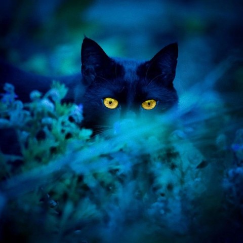 Looky_1693824178341 в LOOKY. . Доброго времени суто...