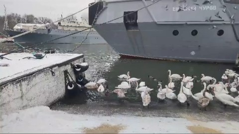 То что мне нравится in LOOKY. . 