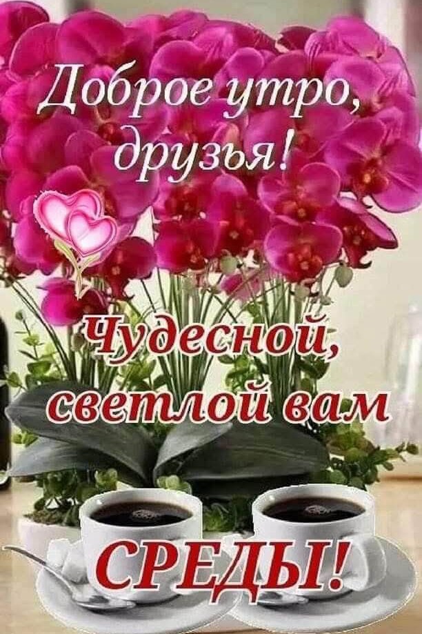  в LOOKY — публикация