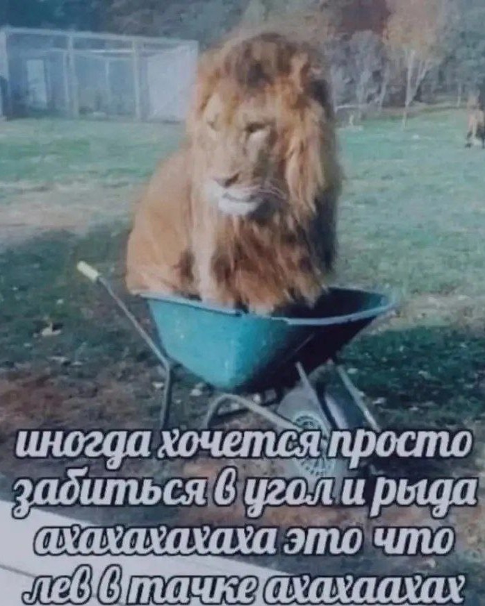 #мем [#вконтакте](вконтакте) 