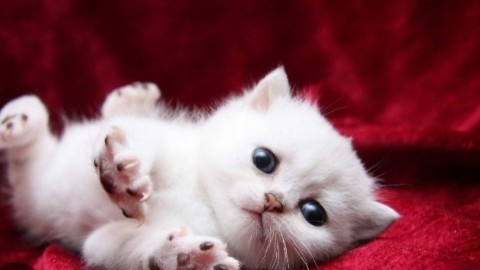 Looky_1698772013941 в LOOKY. . 🗣️❤️❤️❤️❤️❤️❤️👁️🗣...