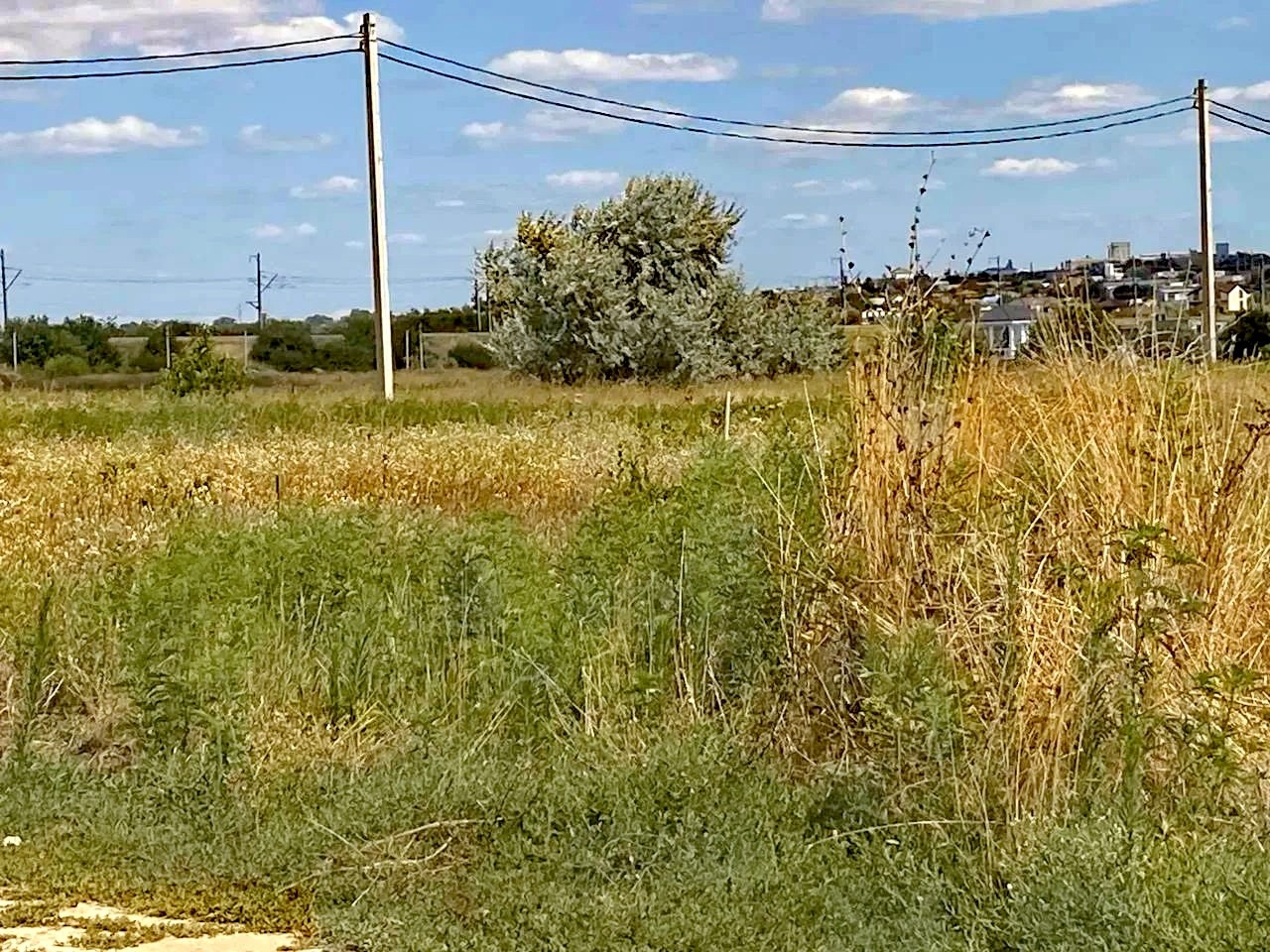 Надежда в LOOKY — фото 2