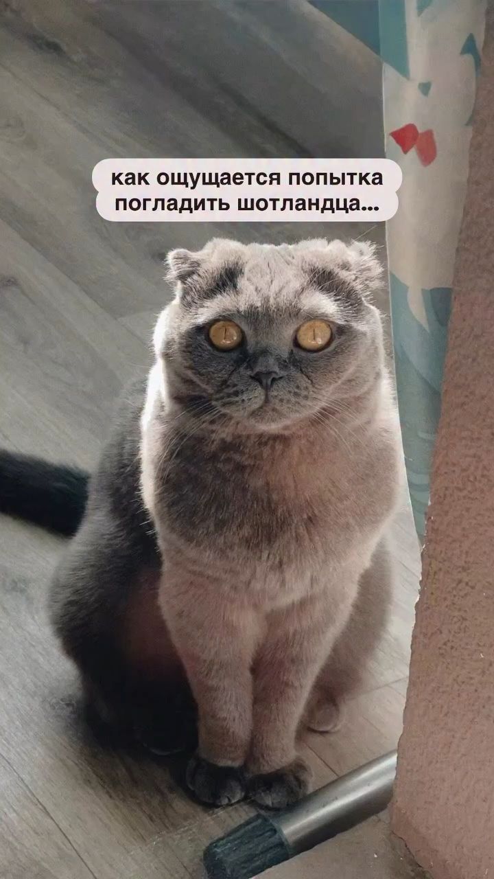 Rustam_Fatikhov в LOOKY. . 