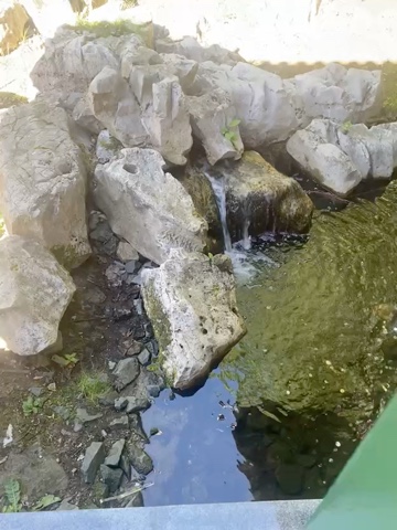  в LOOKY — публикация