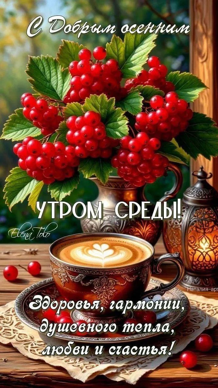 Сириус в LOOKY — публикация