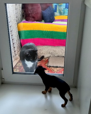 Looky_1695127456576 в LOOKY. . Знакомство пока толь...