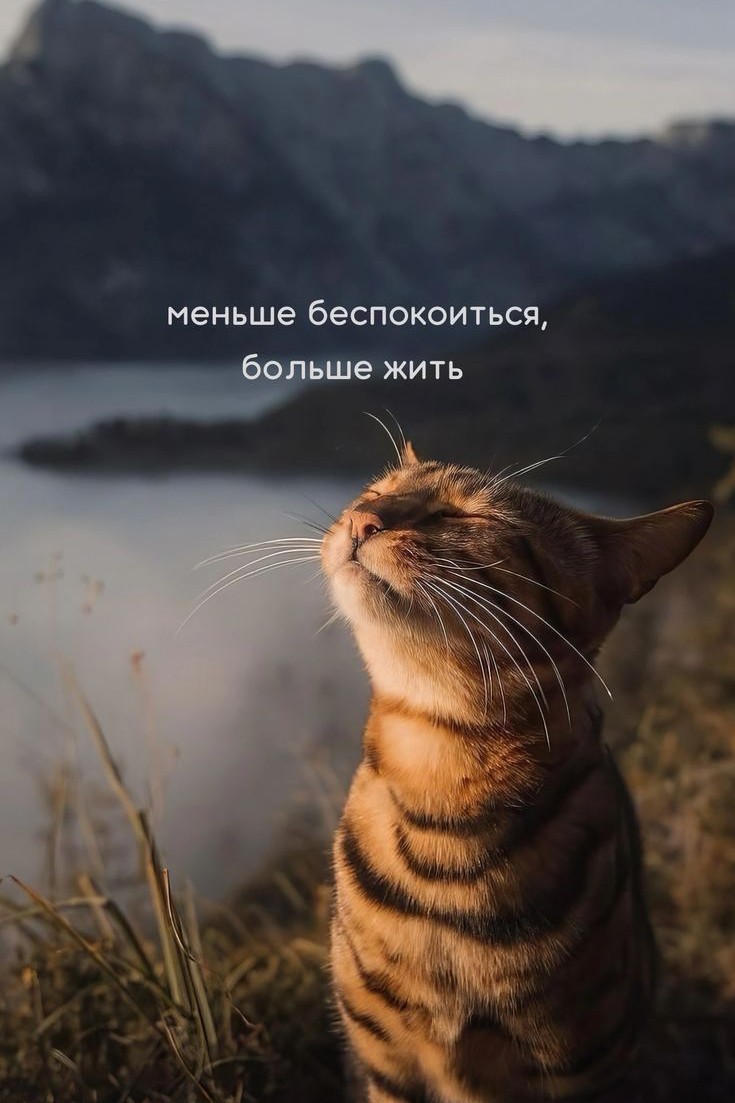 Npuha179 в LOOKY — публикация