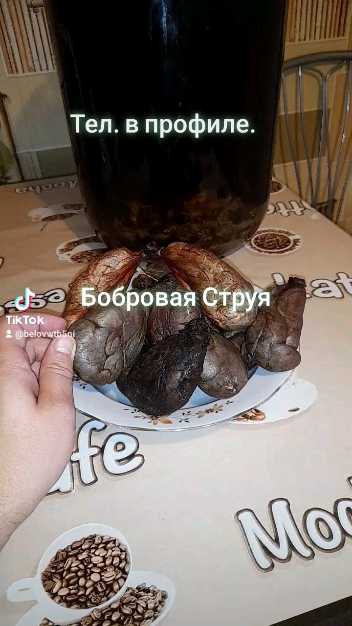Бобровая Струя Настой-Вяленая in LOOKY. . 👇Читайте описание н...