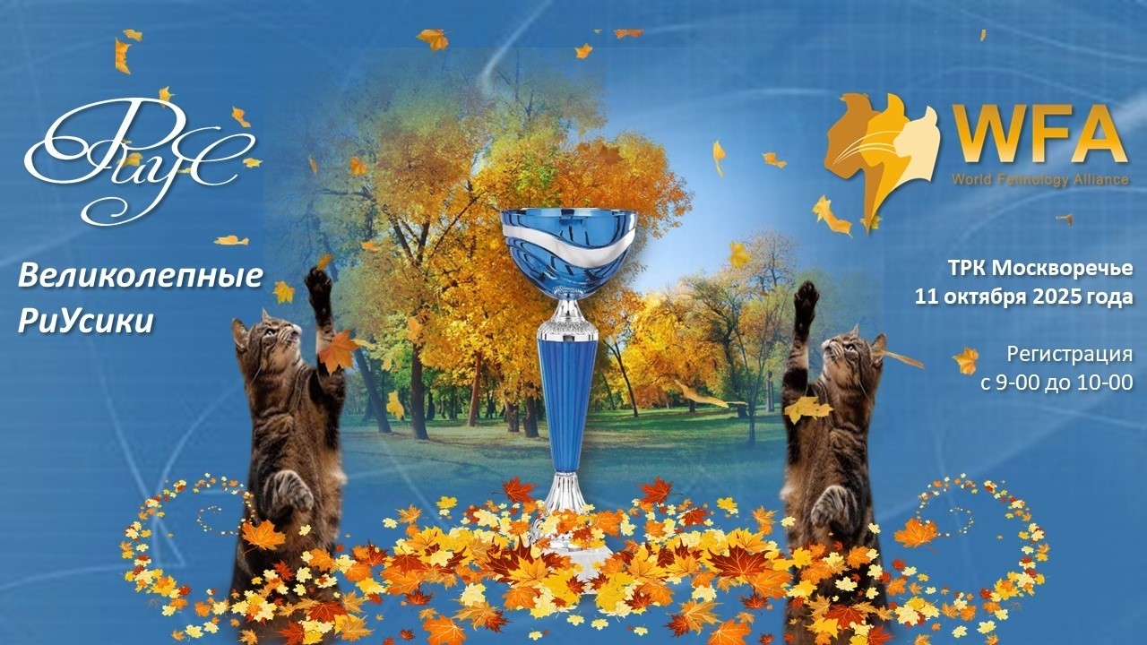 RIUS в LOOKY. #выставка,#выставкакошек,#выставкаwfa,#RIUS. Друзья! Открыта запи...