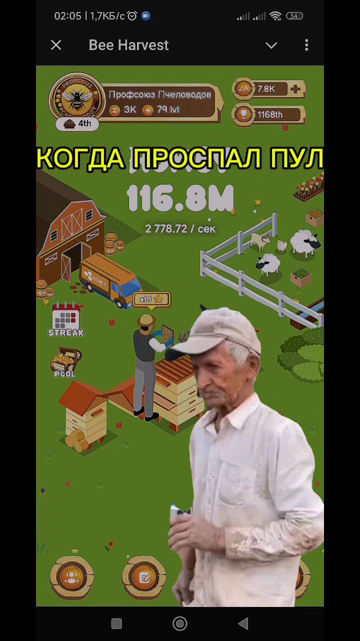 BeeHarvest Ambassador в LOOKY. #beeharvest,#bee_harvest,#harvest,#bee,#game,#rec,#hamster. BeeHarvest #beeharve...