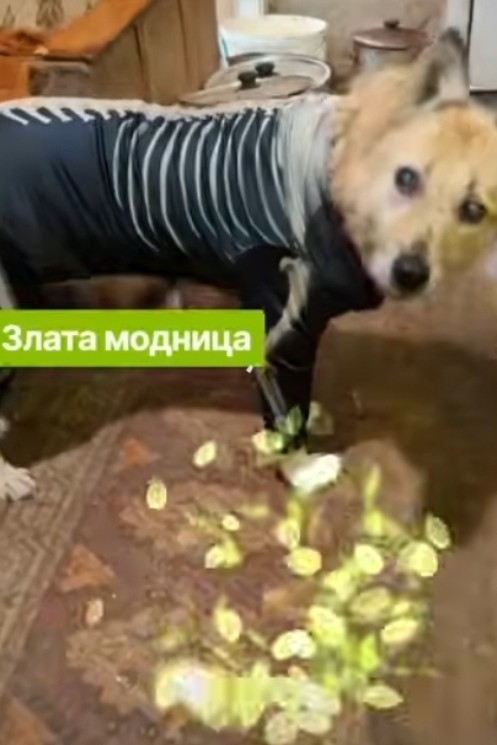 Лена Козлова в LOOKY — фото 2