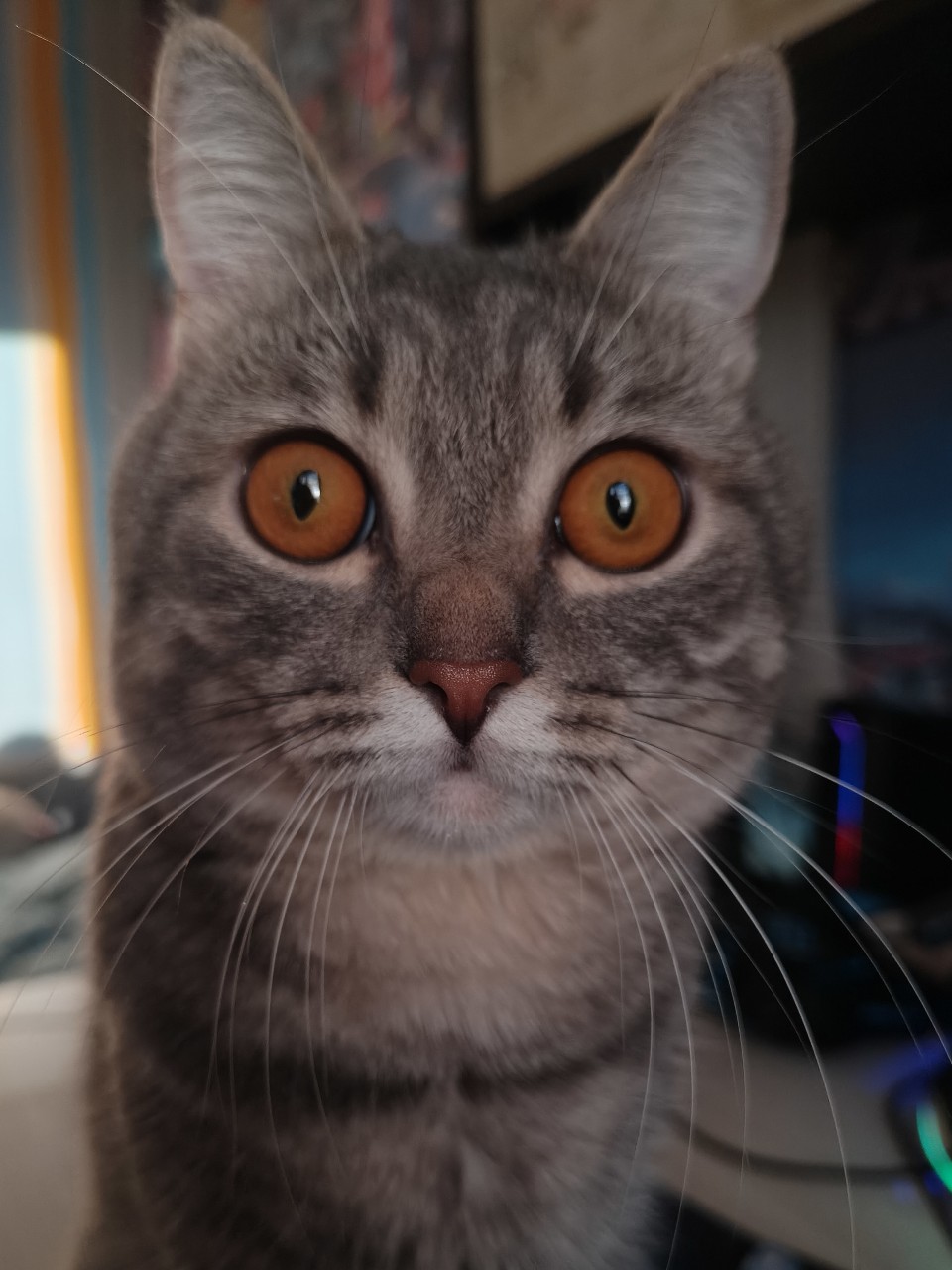 Dasha в LOOKY — 💜😻💜