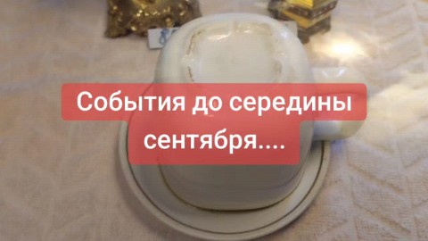 svetlanazaryanova1
