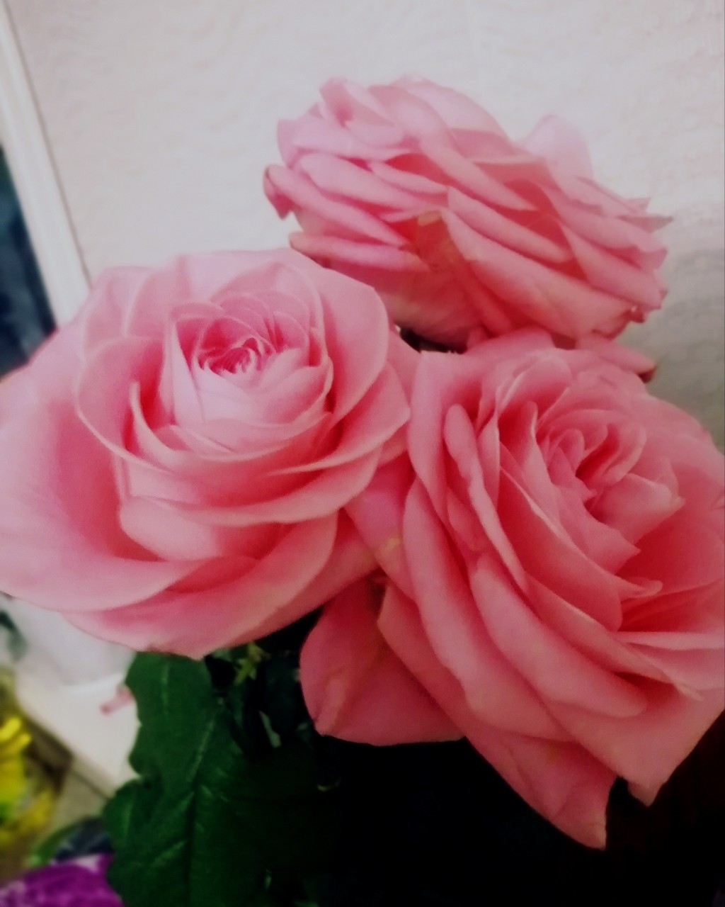 Looky_1680890197319 в LOOKY — Вот вчера и мне стукнуло 31. Как быстро летит время.

#деньр