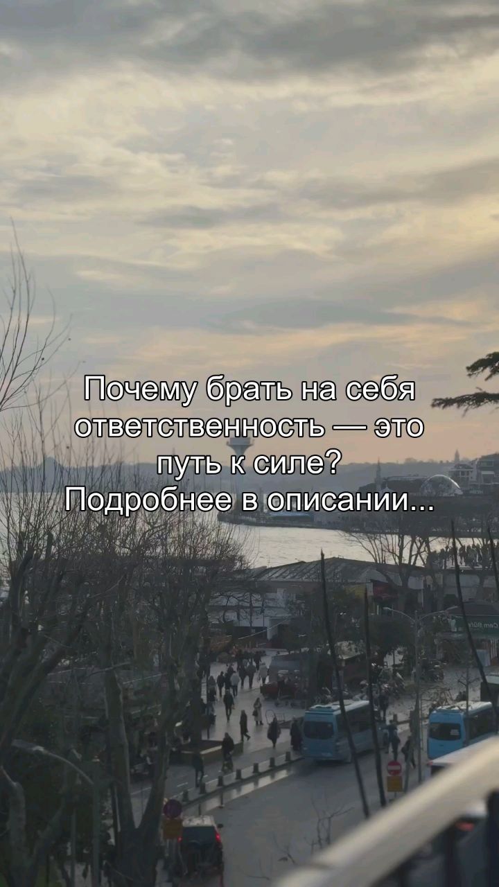 reels_sergey в LOOKY — Ты боишься ответственности. Ты думаешь, что она делает тебя 