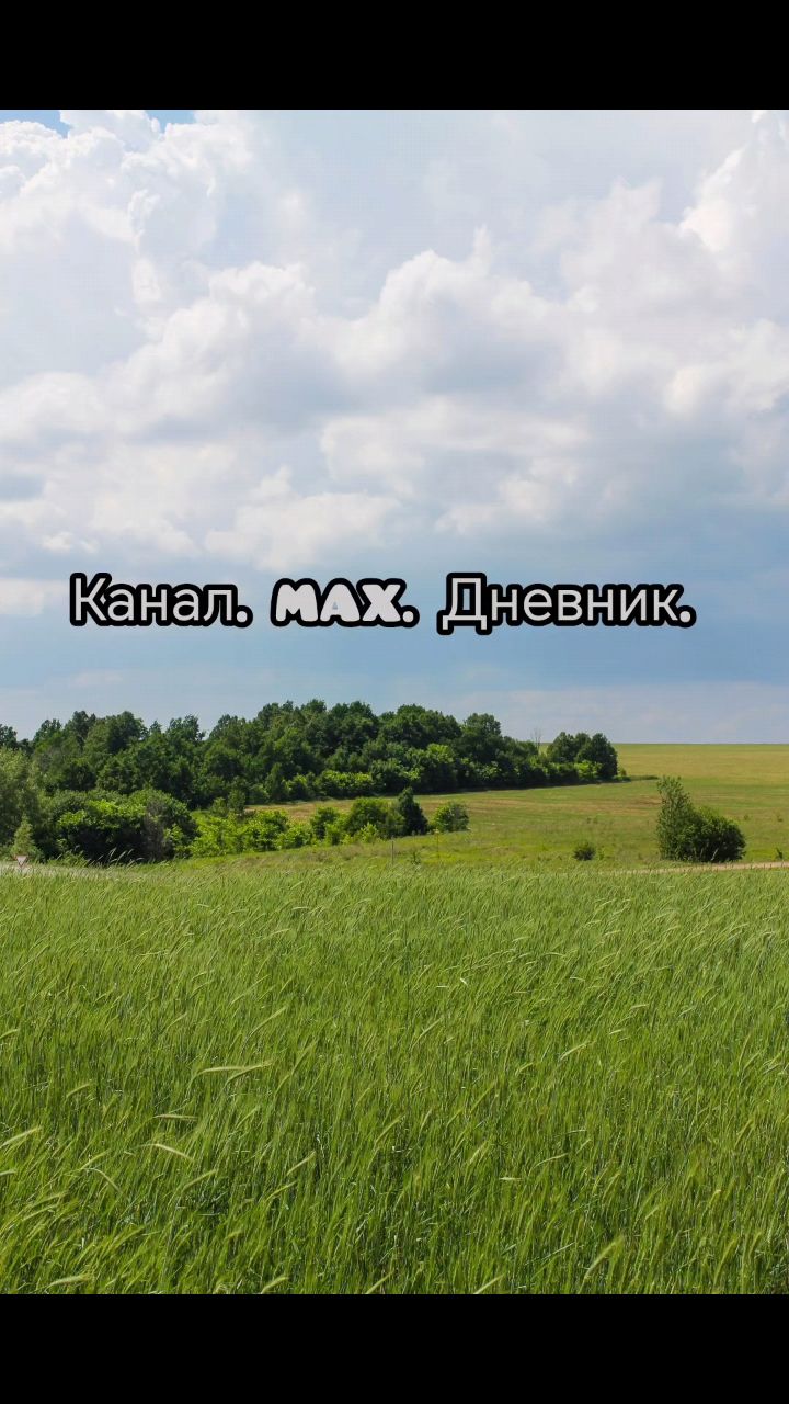 Екатерина в LOOKY. #MAX. Ещё больше летних об...
