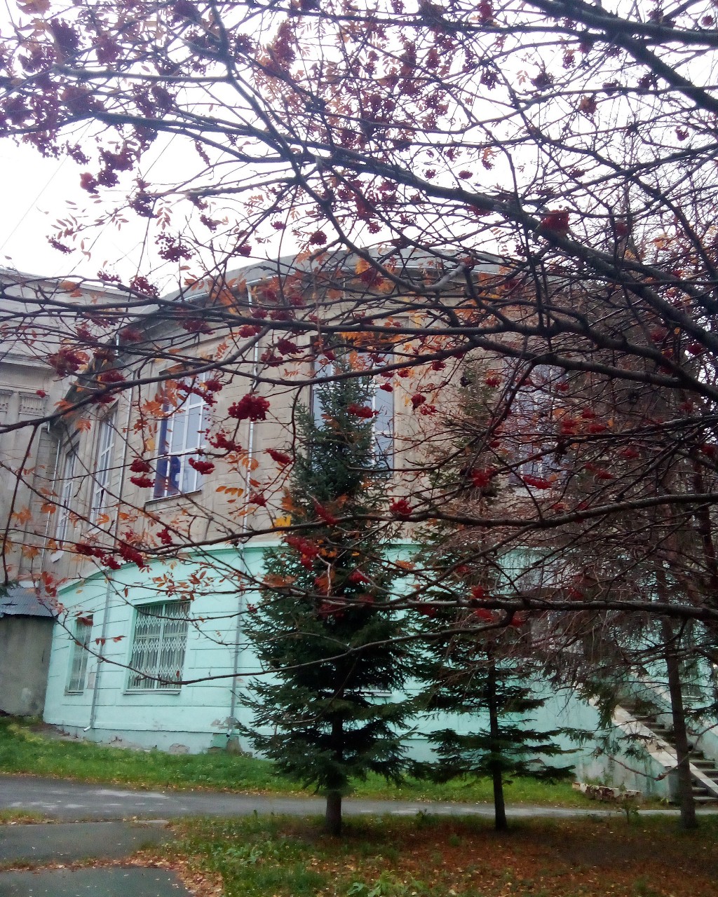 Snowflake in LOOKY. #Новосибирск. #Новосибирск