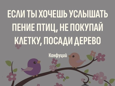 Looky_1687287566634 в LOOKY. . 