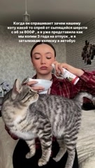 lifestyle influencer  блогерств в LOOKY. #381335309. 🚩🚩🚩 рэд флаг 

Хо...