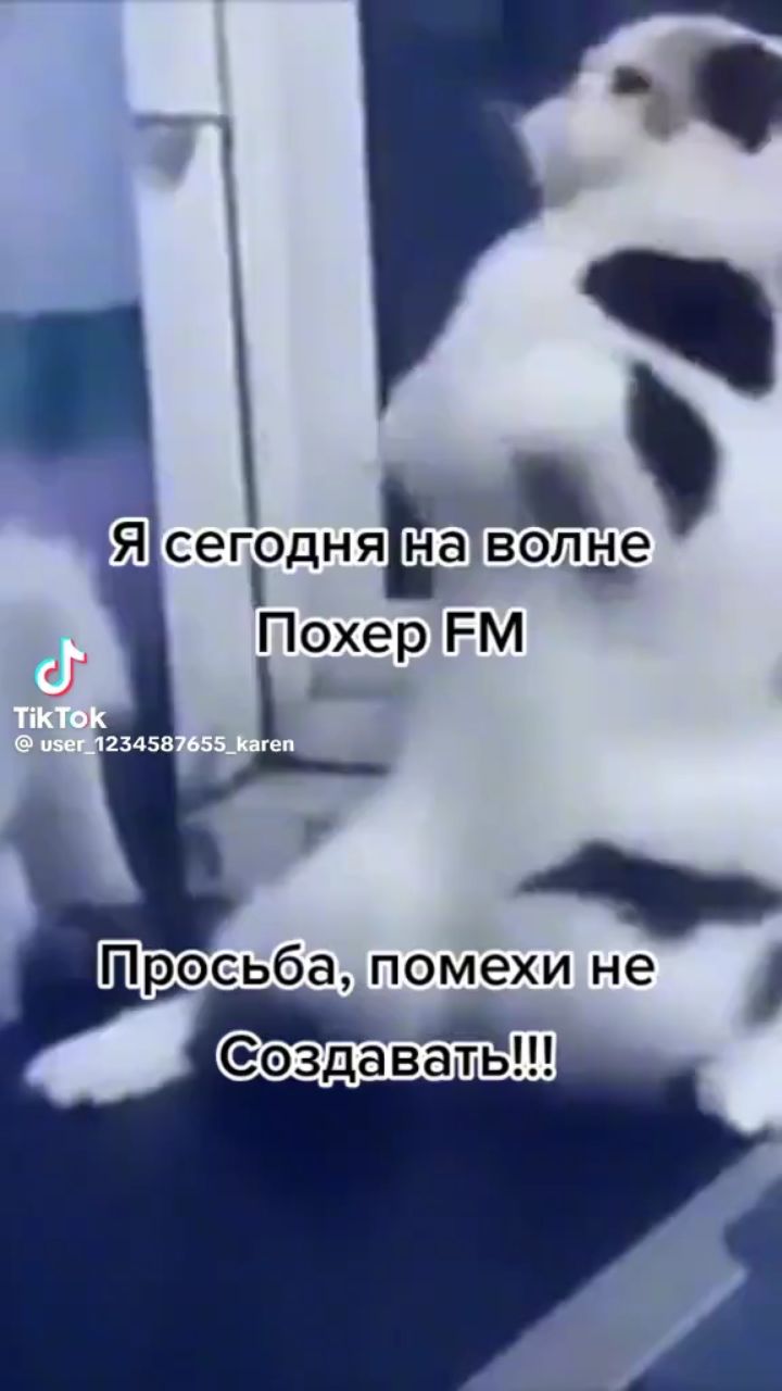  в LOOKY — публикация